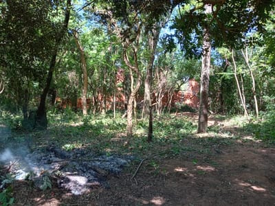 TERRENO EN LUQUE - TARUMANDY EN VENTA