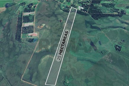 TERRENO DE 25 HECTÁREAS EN SAN JOSÉ DE LOS ARROYOS EN VENTA