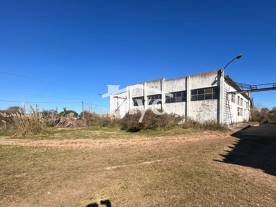 ALQUILER DE GALPÓN INDUSTRIAL Y LOGÍSTICO EN PANDO