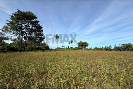 TERRENO DE CASI 3 HECTÁREAS EN VILLETA EN VENTA