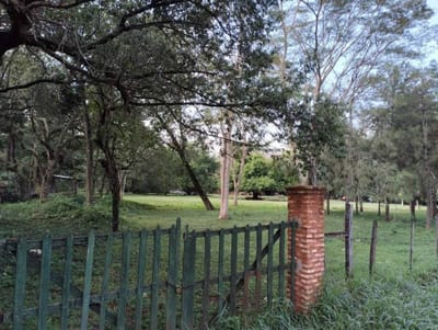 VENDO TERRENO DE 12.404M2 EN BARRIO PRIMAVERA DE LUQUE