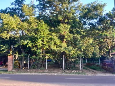 OPORTUNIDAD ÚNICA: AMPLIO TERRENO EN SAN BERNARDINO