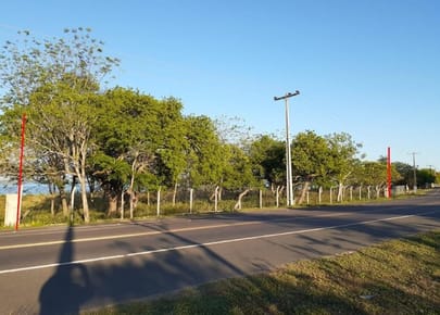 VENDO TERRENO SOBRE LA RUTA LUQUE - SAN BERNARDINO