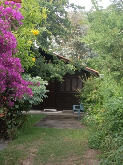 Alquiler Pinar sur ! 1 dorm 