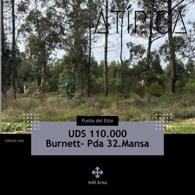 Terreno, Parque Burnett, Parada 32 Mansa, Punta del Este, URUGUAY