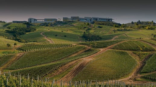 Campo sobre asfalto zona Bodega Garzón