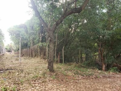 Terreno en venta Yvy Anguy Primera de 7394m2