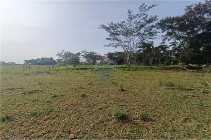 TERRENO DE 8 HECTÁREAS CON ARROYO EN SAN ESTANISLAO EN VENTA