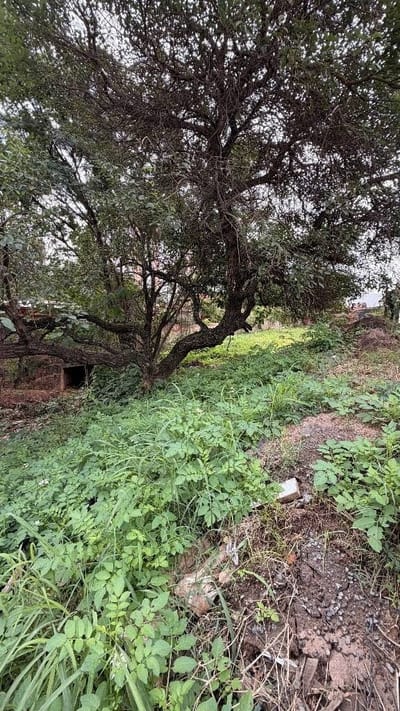 Vendo terreno con potencial residencial - Luque