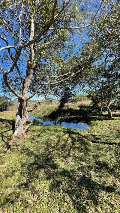Hermosa propiedad de 12 hectáreas con arroyito y naciente en Piribebuy - Colonia Pirareta