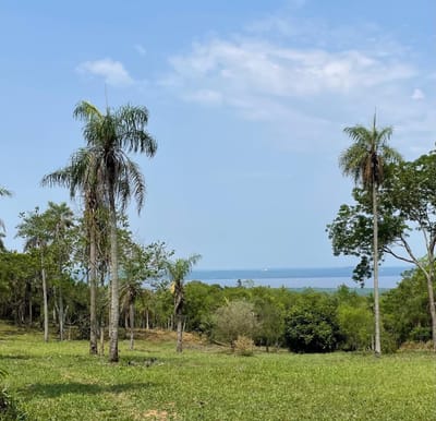En venta Hectáreas en Altos, con vista al lago, propiedad especial para desarrollo. Cercanía de aqua brava, alta pietra.