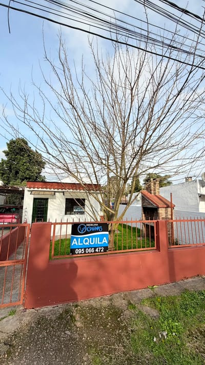 Apartamento en alquiler Jardines del Hipódromo