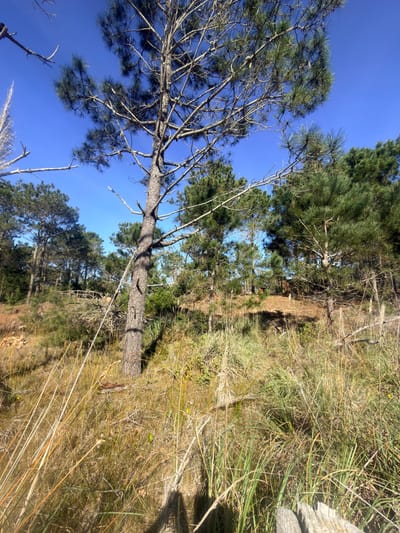 510 m² en La Viuda, a pasos de la costa