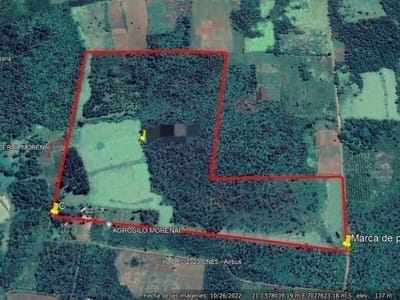 PROPIEDAD RURAL EN VENTA | GRAL. ARTIGAS | 24 HA