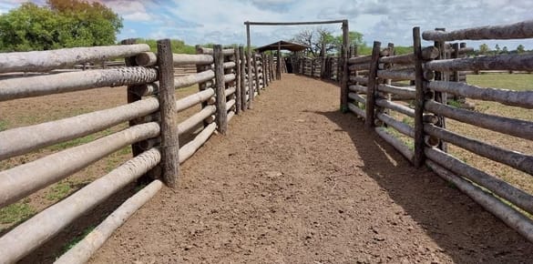 ESTANCIA EN VENTA | BAJO CHACO | 2.293 HA