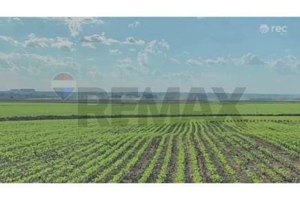 CAMPO DE 600 HECTÁREAS MECANIZADAS PARA SOJA EN CAAZAPÁ EN VENTA