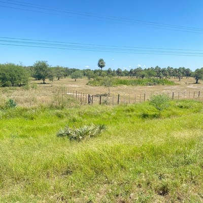 ¡VENDO 10 HECTAREA EN PUERTO FALCON SOBRE RUTA ASFALTADA