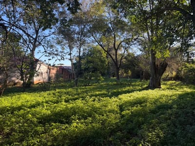 TERRENO DE 3.487 M² EN LUQUE | CALLE A CALLE | PRIMER BARRIO