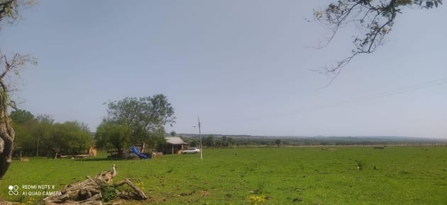 Campo En Venta Quiindy Isla Alta - 37 Hectareas Con Casa Corral Y Pozo Artesiano