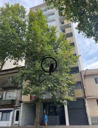 Apartamento en Alquiler