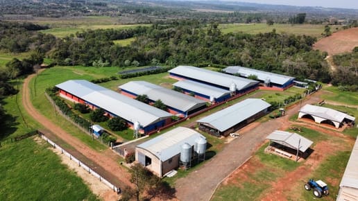 Finca 50 Has En Venta Sobre Ruta Py02 Cnel Oviedo 640m Frente Frigorifico