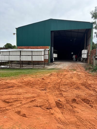 Tinglado en Venta Isla Bogado , Luque