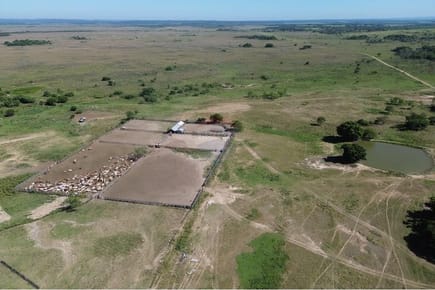 ESTANCIA AGROPECUARIA CON TERRENO DE 10.019 HECTÁREAS EN DEPARTAMENTO CAAGUAZÚ EN VENTA