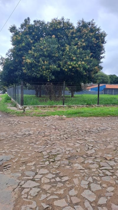 Terreno En Venta La Piedad Mbokayaty 494m2 Esquina 305k + 384m2 250k
