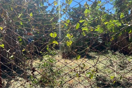 VENDO TERRENO SAN LORENZO 12X33-ZONA PALACIO