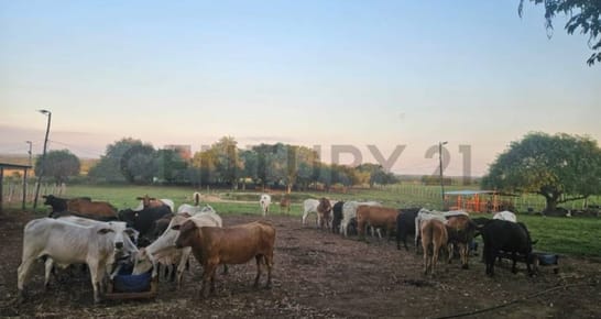 VENTA DE ESTANCIA/GANADERIA