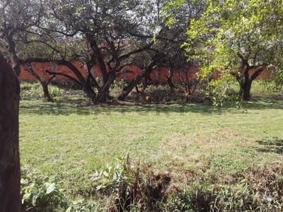 VENTA DE TERRENO EN LUQUE
