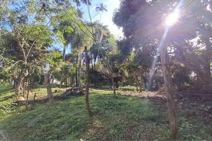 Vendo amplio terreno sobre Ruta en Mbokayaty del Norte Itauguá