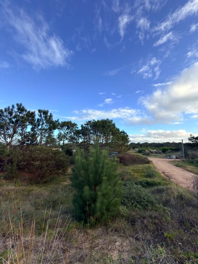 Terreno en venta en Punta del Diablo  600 m² en entorno natural