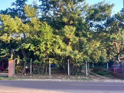 VENDO TERRENO  EN SAN BERNARDINO ❗️ Sobre la Ruta San Bernardino - Altos