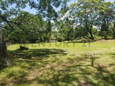 ¡OPORTUNIDAD ÚNICA EN PARAGUARÍ! Vendo amplio lote ideal para quinta o inversión