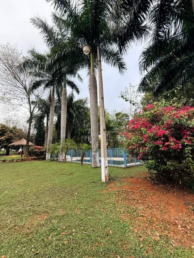 Quinta 1 Ha En Venta Ita 2 Casas Quincho Piscina 9x5 Pozo 100m Huerta