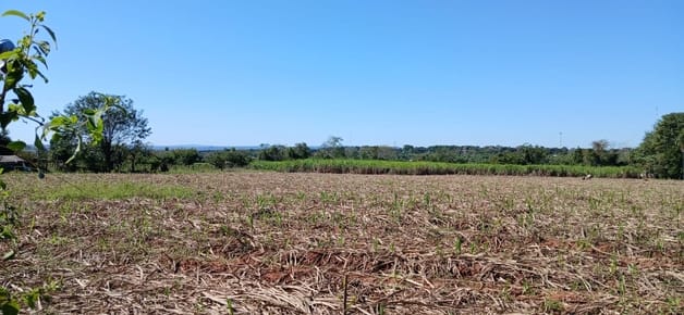 Terreno 3.5 Has Venta Nueva Italia 2km Centro No Inundable Caña Dulce