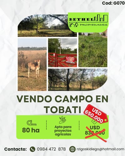 VENDO 80 HECTAREAS en Tobati A 1.500 m del asfalto. PRECIO 650.000 U$D