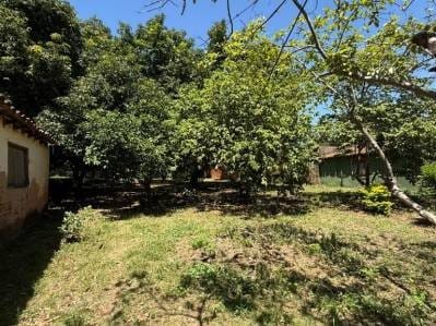 EN VENTA | Terreno De 825 m² En Zeballos Cué, Asunción
