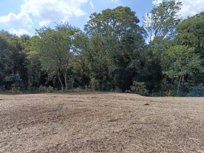 Venta de Estancia/Ganadera en Obligado, Itapúa  /Propiedad de 10, 16 Hectareas en venta