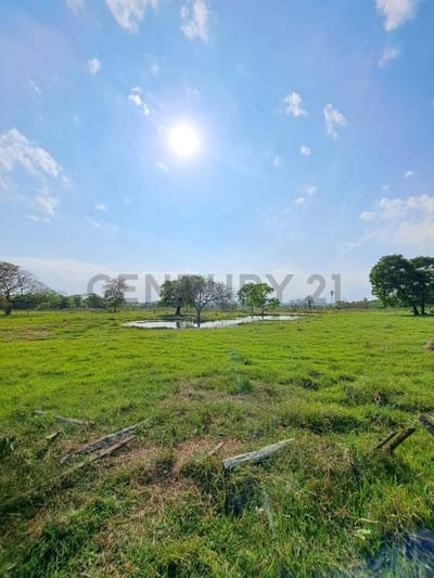 Estancia en venta con 319 ha. Concepción, Loreto