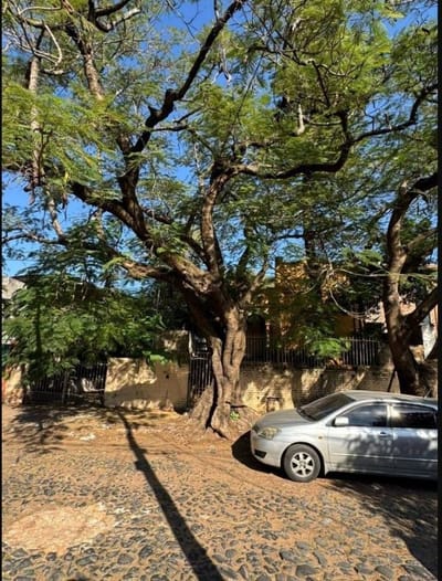 EN VENTA | Terreno De 499,5 m² Con Potencial De Desarrollo Hasta 7 Plantas En Sajonia