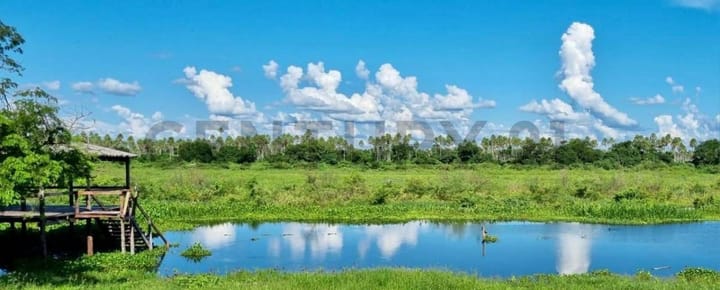 ESTANCIA EN VENTA EN EL CHACO