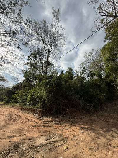 Venta‼️ 3 terrenos juntos en San Bernardino  barrio Cristóbal Colón