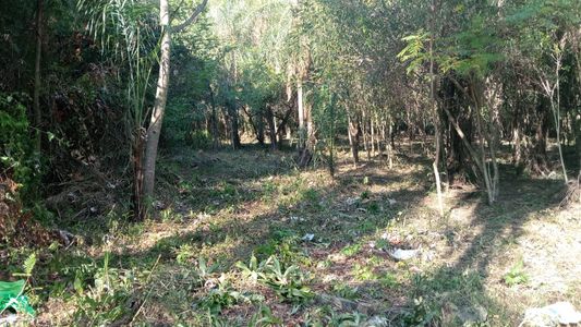 Terrenos Exclusivos en Venta - San Bernardino, Zona Anfiteatro - Ubicación Premium
