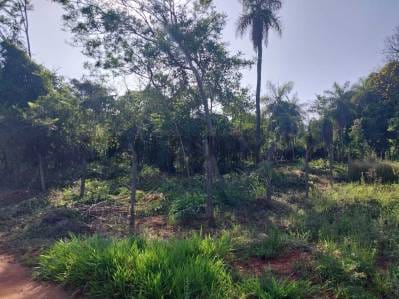 VENDO TERRENO EN AREGUA PINDOLO