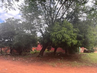En Venta Terreno en Esquina en Luque V191