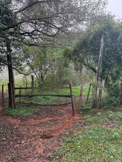 En Venta Gran Propiedad en Itacurubi de la Cordillera 