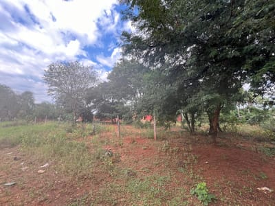 En Venta 3 Terrenos en Costa Sosa - Luque V190
