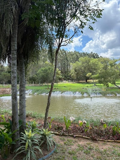 Exclusivos Lotes en Venta en Condominio Cerrado Altos Nativo: Tu Paraíso a Pasos de Agua Village y Minutos de San Bernardino.